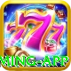 bx55 Royal Gaming App