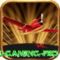flutepg Gaming Pro